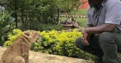 Justice historique : le Sénat lève l’immunité de Joseph Kabila