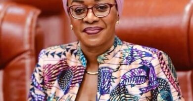 Polémique sur le concert de Fally Ipupa : au-delà des rumeurs, la Ministre Yolande Elebe Ma Ndembo face à une instrumentalisation de la culture Polémique sur le concert de Fally Ipupa : au-delà des rumeurs, la Ministre Yolande Elebe Ma Ndembo face à une instrumentalisation de la culture
