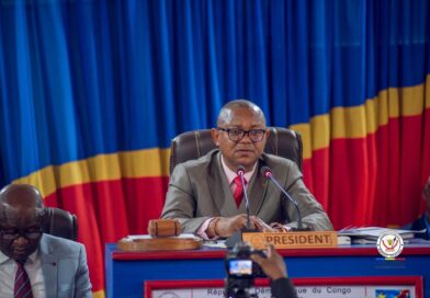 Kongo Central : faute de quorum, la plénière sur les réquisitoires visant Grâce Bilolo suspendue