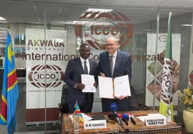 Adhésion à l’ICCO : la RDC mise sur le cacao pour diversifier son économie